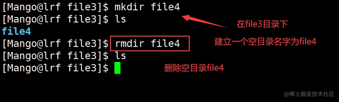 image-20220226222714842