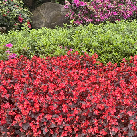 Qt历险记于2024-03-30 15:18发布的图片