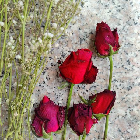 用户1008683613726于2023-05-08 18:39发布的图片