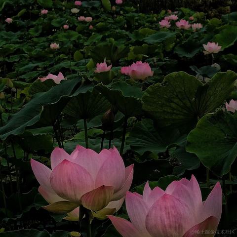 蜜拉贝儿于2023-06-25 23:29发布的图片