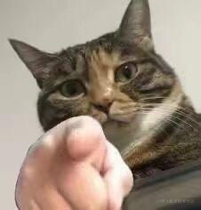 整烂活