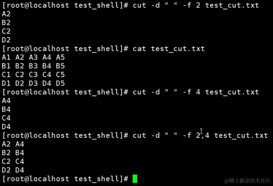 image-20240203101954943