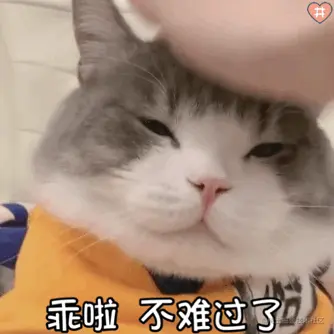 入职第一天，主管叫我安装开发环境，不知道装什么，看这个就够了