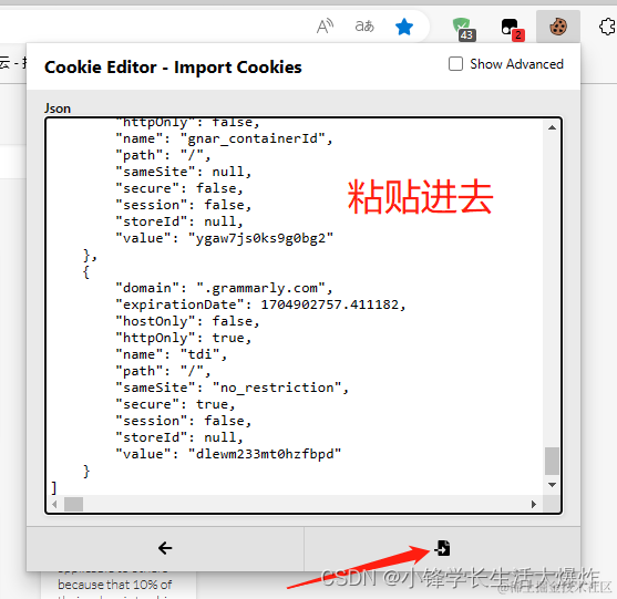  5 grammarly premium cookie 