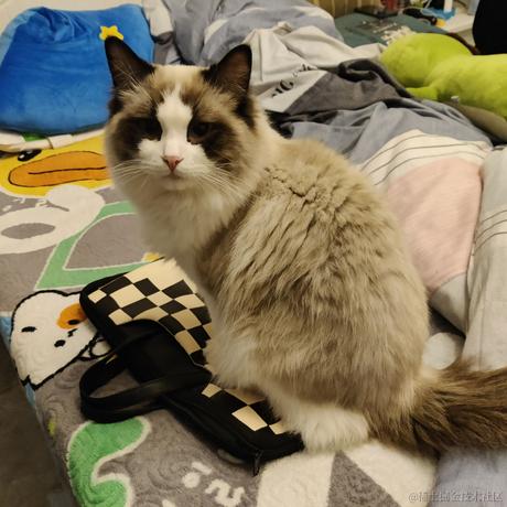 First于2023-05-23 08:35发布的图片