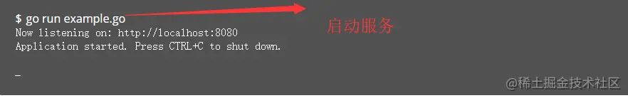 <a data-fancybox title="启动Iris服务" href="/img/goImage/iris.png">[外链图片转存失败,源站可能有防盗链机制,建议将图片保存下来直接上传(img-PzanzAuu-1581055410522)(/img/goImage/iris.png)]</a>