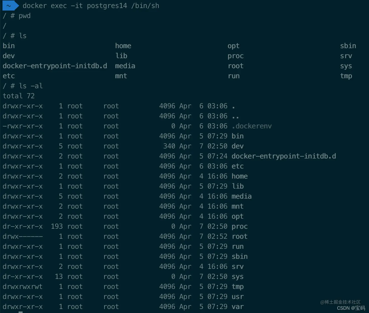 shell内部执行linux命令