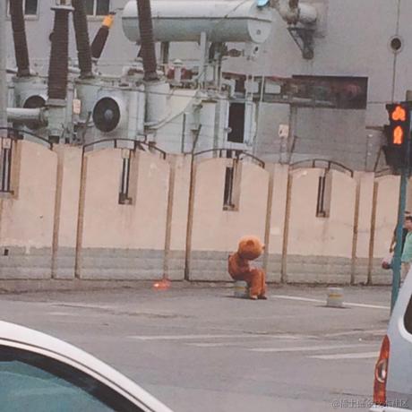 睡觉真的有用于2022-11-18 09:08发布的图片