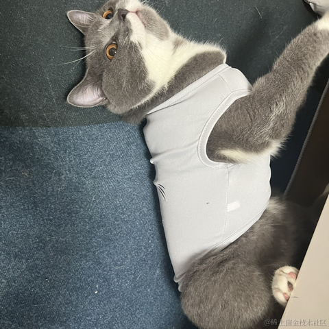 好雨知时节3于2023-06-03 13:16发布的图片