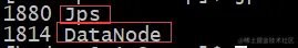 datanode-start-success