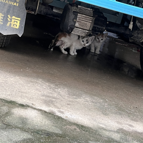 咩咩小琳于2023-07-07 13:20发布的图片
