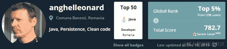 图 1.8 - CodersRank 个人资料摘要