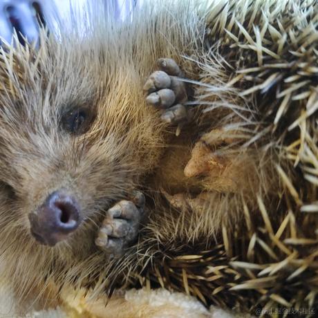 烟火撞星辰于2022-06-07 22:24发布的图片