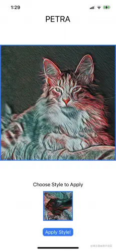 显示样式转换结果的应用