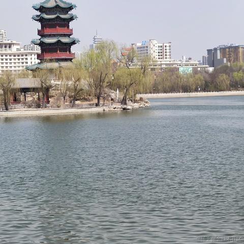 涛涛之海于2023-03-14 13:25发布的图片