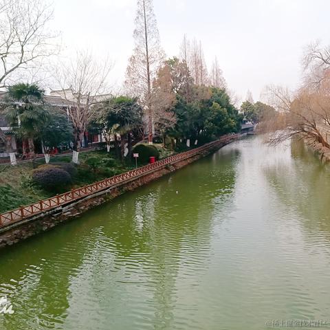 因风于2023-01-24 18:42发布的图片