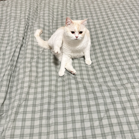 点点是只猫于2023-01-27 16:30发布的图片