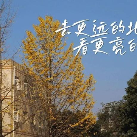 旺旺仔糖糖于2022-12-25 18:40发布的图片