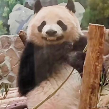 LINer于2023-04-05 21:52发布的图片