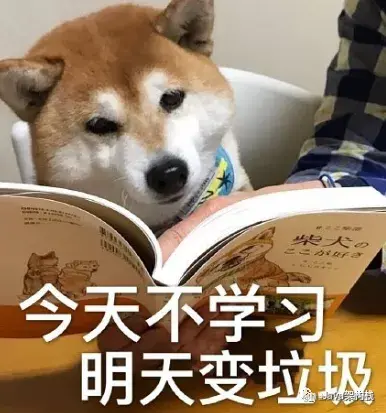 De0S06CsL0QUGzc_CnDG-Q