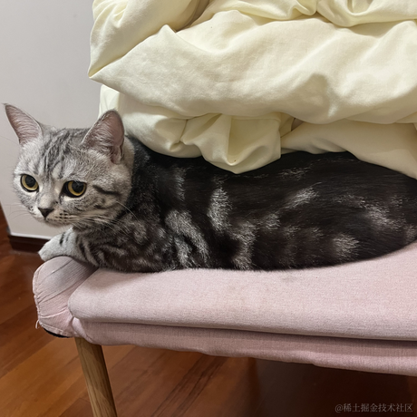 dy123于2023-05-23 11:16发布的图片