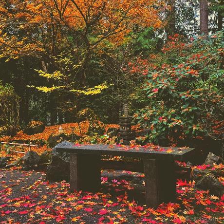 西红柿盖饭于2022-11-29 00:15发布的图片