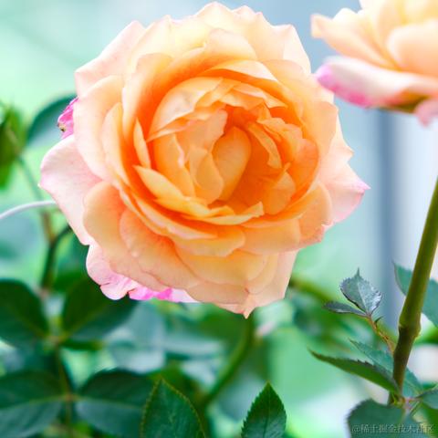 牛肉烧板黎于2022-06-08 08:44发布的图片