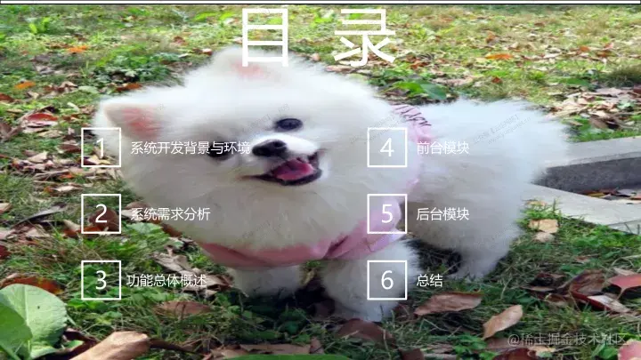 基于java的宠物网站设计与实现的论文PPT源码（包调试运行成功）