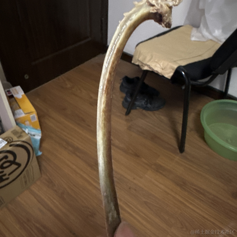 唯有奶茶解百忧于2023-09-17 12:53发布的图片