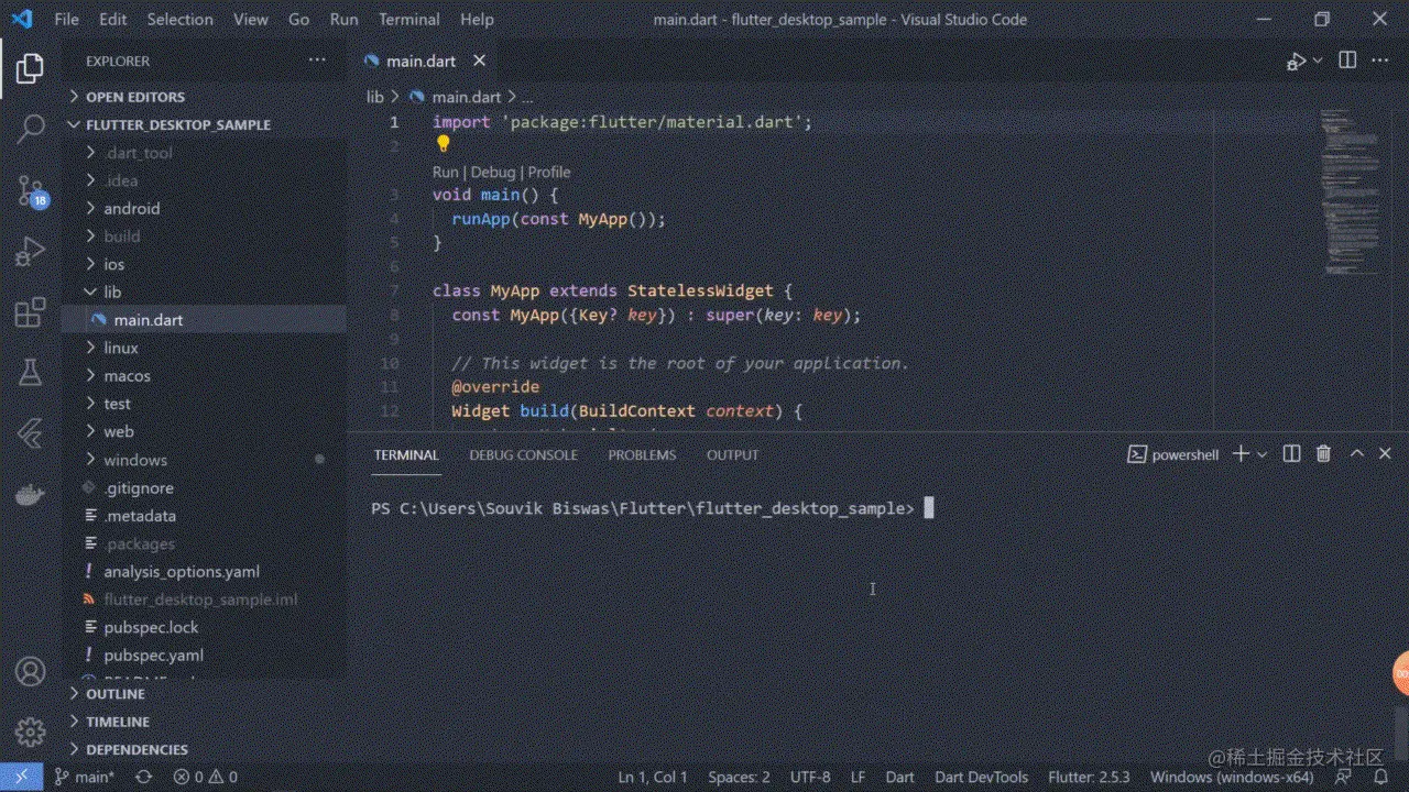 Flutter 运行 - Windows