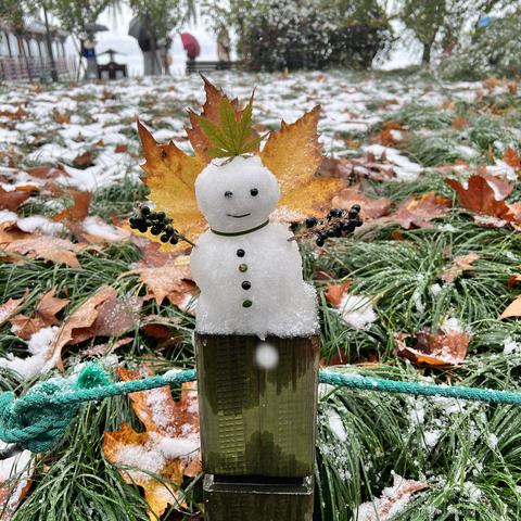 林夕lucky于2022-12-01 14:42发布的图片