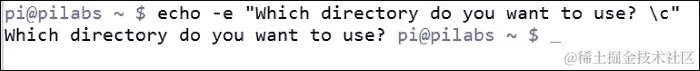使用带有选项的 echo