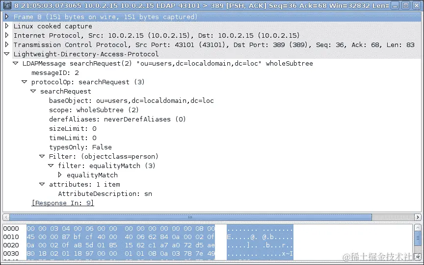 检查 LDAP 数据包