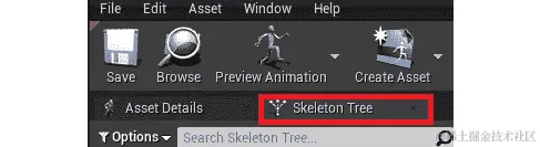 图 2.13：SK_Mannequin 骨架树选项卡选择