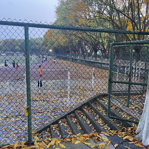 wsq于2023-04-20 19:20发布的图片