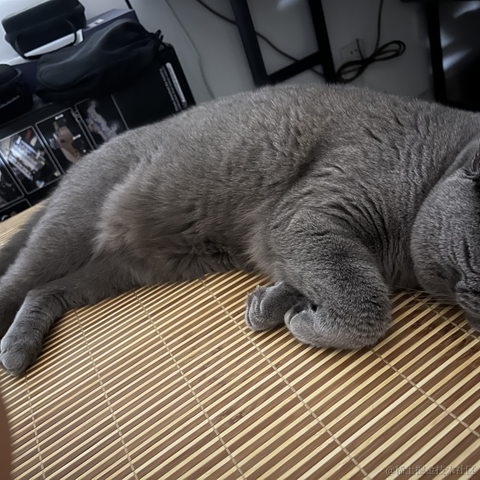 bellaQAQ于2023-07-03 09:45发布的图片