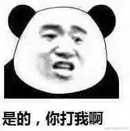 最近，我在Spring的BeanUtils踩了不少坑