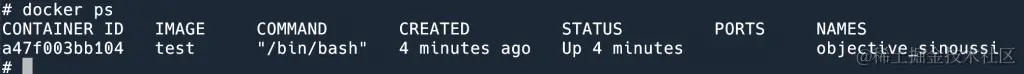 在容器内 docker ps