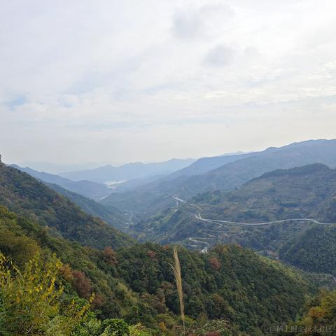 阿旭是大腿于2022-11-12 09:06发布的图片