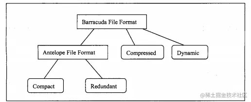 image-20220428090435290