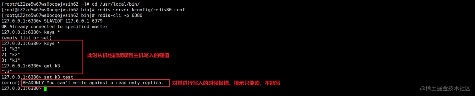 image-20200503205808575