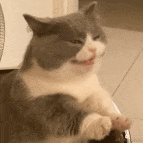 六加七于2022-11-19 10:41发布的图片