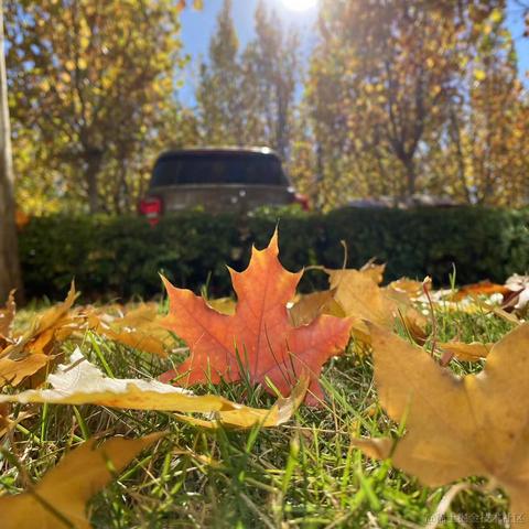 和稀土掘金矿于2022-11-07 16:29发布的图片