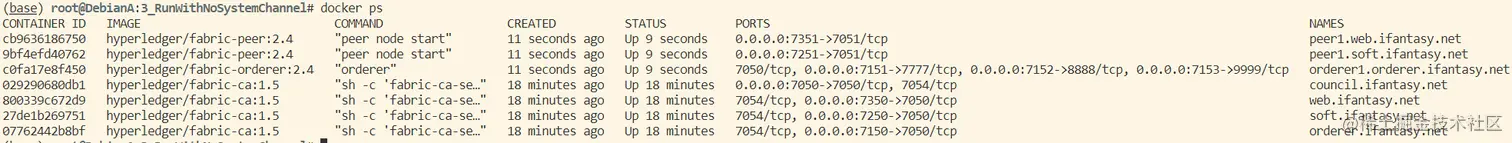 启动成功后的容器环境：
