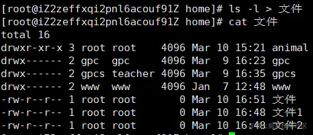 image-20220310165152104