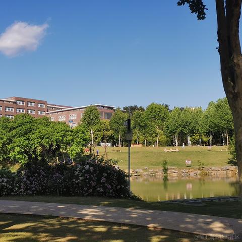夏夜雨微凉于2023-05-21 20:36发布的图片