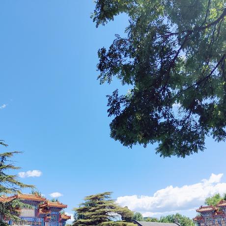 叶一一于2023-07-15 11:33发布的图片