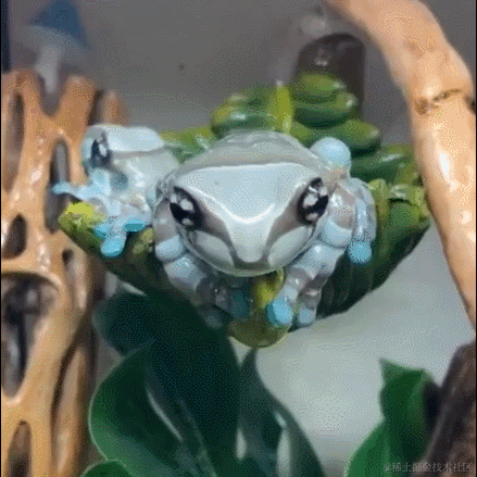 Daniel_01于2022-08-22 09:42发布的图片