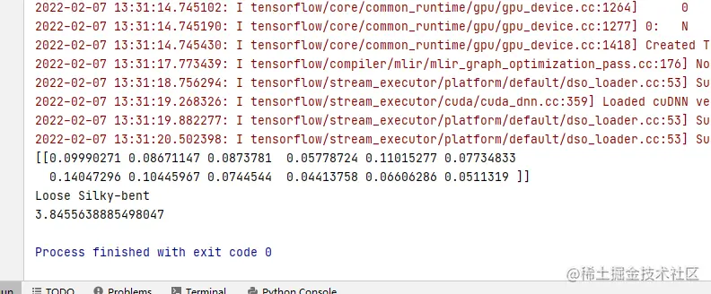 image-20220207133140651