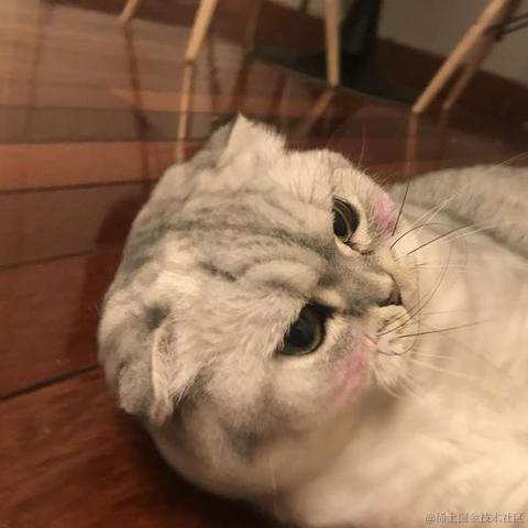 小蝴蝶于2020-08-10 15:13发布的图片